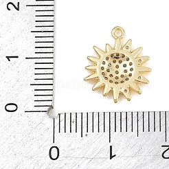 Brass Micro Pave Clear Cubic Zirconia Charms&nbsp;CU-CBA0565-06G