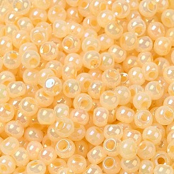 Glass Seed Beads&nbsp;SEED-H002-H-1307