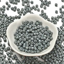 Baking Paint Pearlized Glass Seed Beads&nbsp;SEED-C001-04A-07