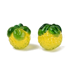 Handmade Lampwork Beads&nbsp;LAMP-N042-10