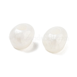 Resin European Beads&nbsp;RESI-Z030-03