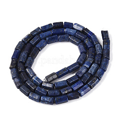 Dyed Natural Lapis Lazuli Beads Strands&nbsp;GG-N002-01A-24