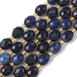 Natural Sodalite Beads Strands&nbsp;G-F809-A19-01B