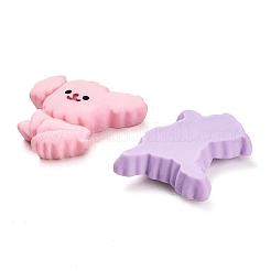 Opaque Resin Pet Cabochons&nbsp;CRES-D025-04