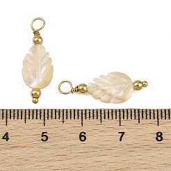 Natural Freshwater Shell Pendants&nbsp;SH-CBA5EEC-07G