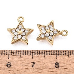 304 Stainless Steel Micro Pave Cubic Zirconia Charms&nbsp;STAS-N115-52G