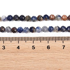 Natural Sodalite Beads Strands&nbsp;G-Z163-C02-4mm
