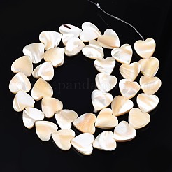 Natural Trochid Shell/Trochus Shell Bead Strands&nbsp;SSHEL-N034-92A-01