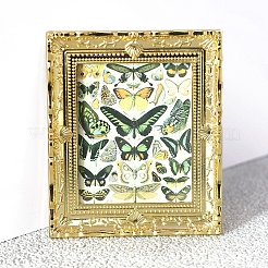 Plastic Painting Miniature Ornaments&nbsp;PW-WGCAA46-01