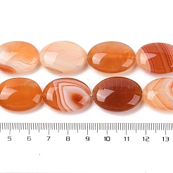 Natural Striped Agate/Banded Agate Beads Strands&nbsp;G-Q182-01D