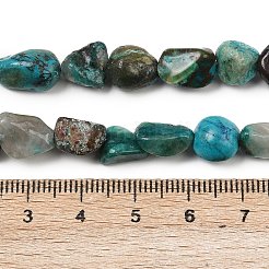 Natural Chrysocolla Beads Strands&nbsp;G-L493-61
