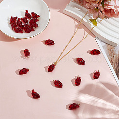22Pcs Transparent Resin Pendants&nbsp;RESI-ME0001-14