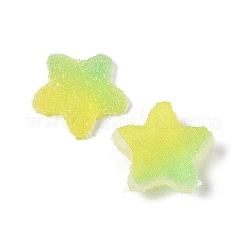 Imitation Candy Food Style Resin Cabochons&nbsp;RESI-R461-02M