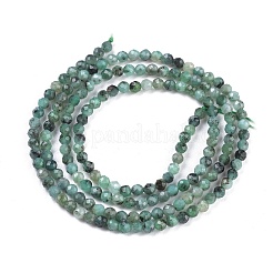 Natural Emerald Beads Strands&nbsp;G-R475-022A