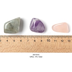 12Pcs No Hole/Undrilled Natural Gemstone Beads&nbsp;G-FS0001-28