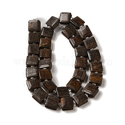 Natural Bronzite Beads Strands&nbsp;G-L596-A13-01