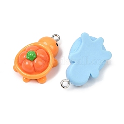 Fruit Theme Opaque Resin Pendants&nbsp;RESI-H043-01P