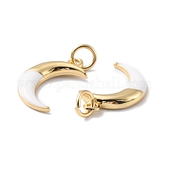 Rack Plating Brass Pendants&nbsp;KK-F852-19G