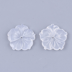 Translucent Resin Beads&nbsp;X-RESI-T040-002B