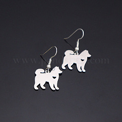 304 Stainless Steel Dangle Earrings for Women&nbsp;WG519B6-01