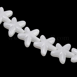 Baking Paint Glass Beads&nbsp;LAMP-C021-01F