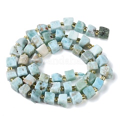 Natural Larimar Beads Strands&nbsp;G-G053-B24-03