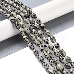 Natural Dalmatian Jasper Beads Strands&nbsp;G-K362-I14-06