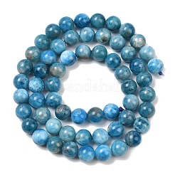 Natural Apatite Bead Strands&nbsp;G-P204-09-7mm-1