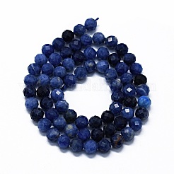 Natural Sodalite Beads Strands&nbsp;G-G927-42