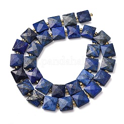 Natural Lapis Lazuli Beads Strands&nbsp;G-F839-A34-01