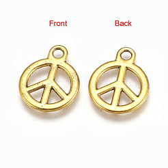 Tibetan Style Alloy Pendants&nbsp;TIBEP-EA9100Y-AG-LF