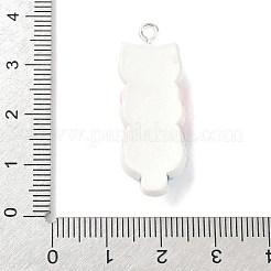 Animal Theme Resin Pendants&nbsp;RESI-V005-001D