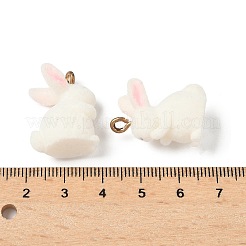 Floking Resin Pendants&nbsp;LS-CRES-D306-07G
