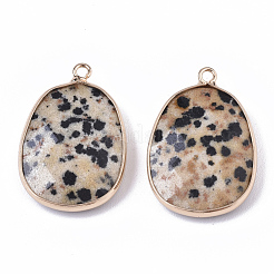 Natural Dalmatian Jasper Pendants&nbsp;G-T131-08G