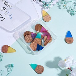 16Pcs 8 Styles Transparent Resin & Walnut Wood Pendants&nbsp;RESI-SZ0001-82