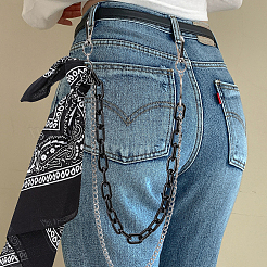 1Pc Alloy Curb Chain & Plastic Paperclip Chain Double Layer Chains for Pants&nbsp;AJEW-BM0001-26