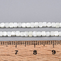 Natural Trochid Shell/Trochus Shell Beads Strands&nbsp;SSHEL-N041-04A-01