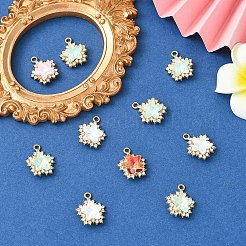 10Pcs Alloy Glass Pendants&nbsp;FIND-YW0010-02