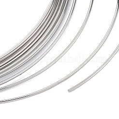 304 Stainless Steel Wire&nbsp;TWIR-G002-01P
