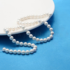 Polished Shell Pearl Round Beads Strands&nbsp;SP6MM701