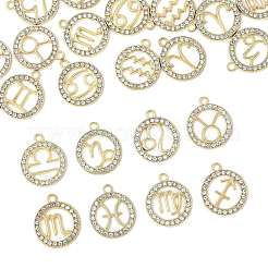24Pcs 12 Styles Zinc Alloy Crystal Rhinestone Pendants&nbsp;FIND-FS0004-40
