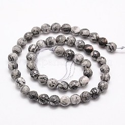Natural Map Stone/Picasso Stone/Picasso Jasper Beads Strands&nbsp;LS-G-G542-8mm-33