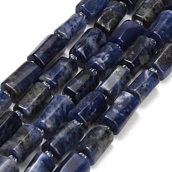 Natural Sodalite Beads Strands&nbsp;G-D109-A04