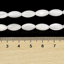 Natural Trochus Shell Beads Strands&nbsp;BSHE-G036-06B