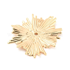 Rack Plating Brass Pendants&nbsp;X-KK-M261-12G