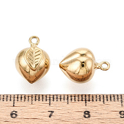 304 Stainless Steel Charms&nbsp;STAS-T067-93G