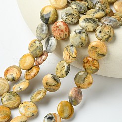 Flat Round Natural Crazy Lace Agate Beads Strands&nbsp;G-S110-05
