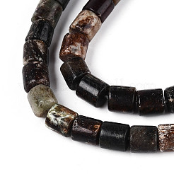 Natural Biotite Beads Strands&nbsp;G-T141-88A