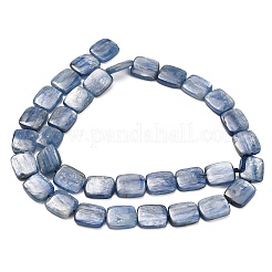 Natural Kyanite Beads Strands&nbsp;G-H335-I01-10x12mm