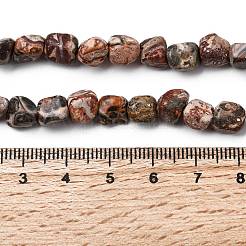 Natural Leopard Skin Jasper Beads Strands&nbsp;G-B161-A03-01